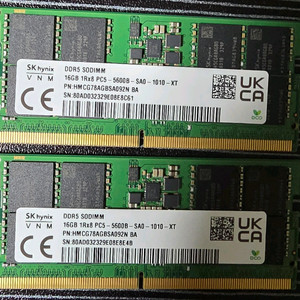 Sk 하이닉스 ddr5 sodimm 5600 16GB2 32GB 이미지