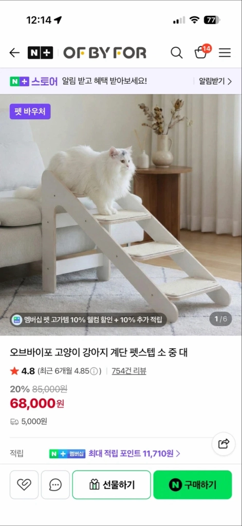 고양이, 강아지 계단 보조 스냅 이미지