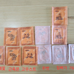 포켓몬 30주년 아트웍 띠부씰 이미지