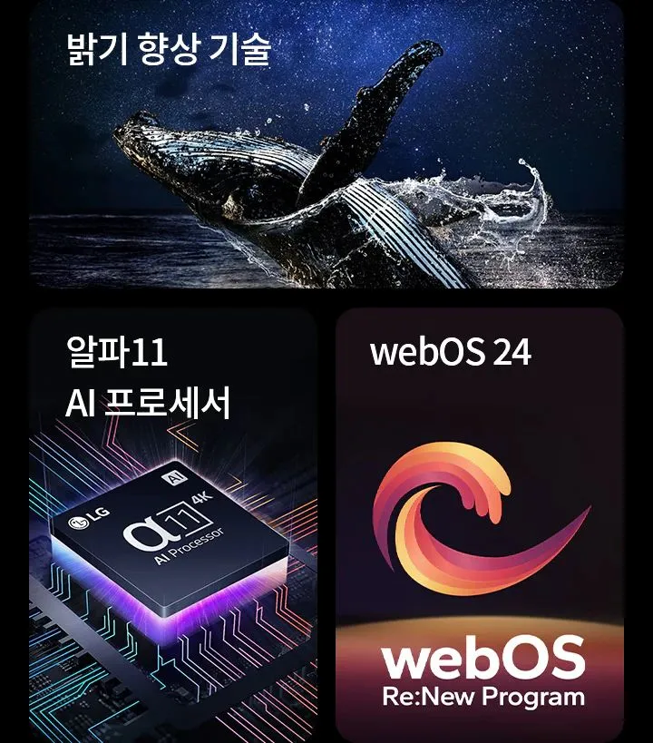 LG 55인치 OLED 최상위급 OLED65G4 ! 이미지