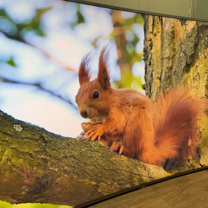 삼성 65인치 커브드TV (UN65JS9000F)팝니다 이미지