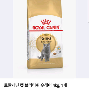 로얄캐닌 캣 숏헤어 어덜트 사료 3.9kg 이미지