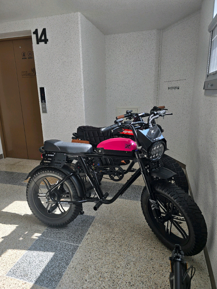 엑스라이더 X-RIDER 전기자전거 X200 Max SL 48V 500W 블랙핑크 (거의 새상품) 이미지