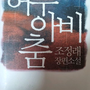 허수아비 춤 (조정래 장편소설) ### 이미지