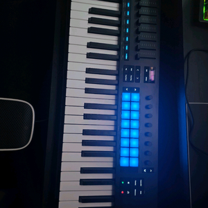 Novation Launchkey 61 Mk4 노베이션 런치키 이미지