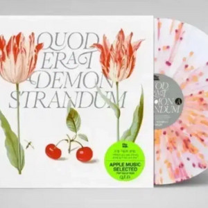 프롬 lp 이미지