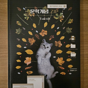 2027 전형태 문학개념집 새상품 이미지