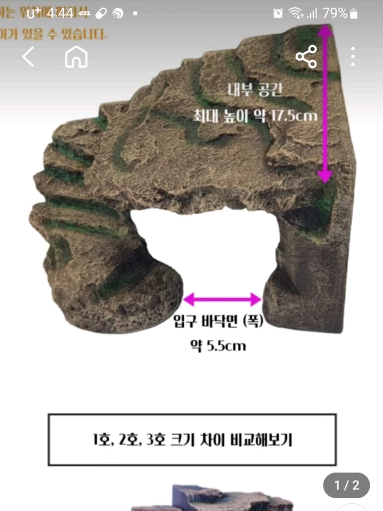 거북이 쉼터 육지 이미지