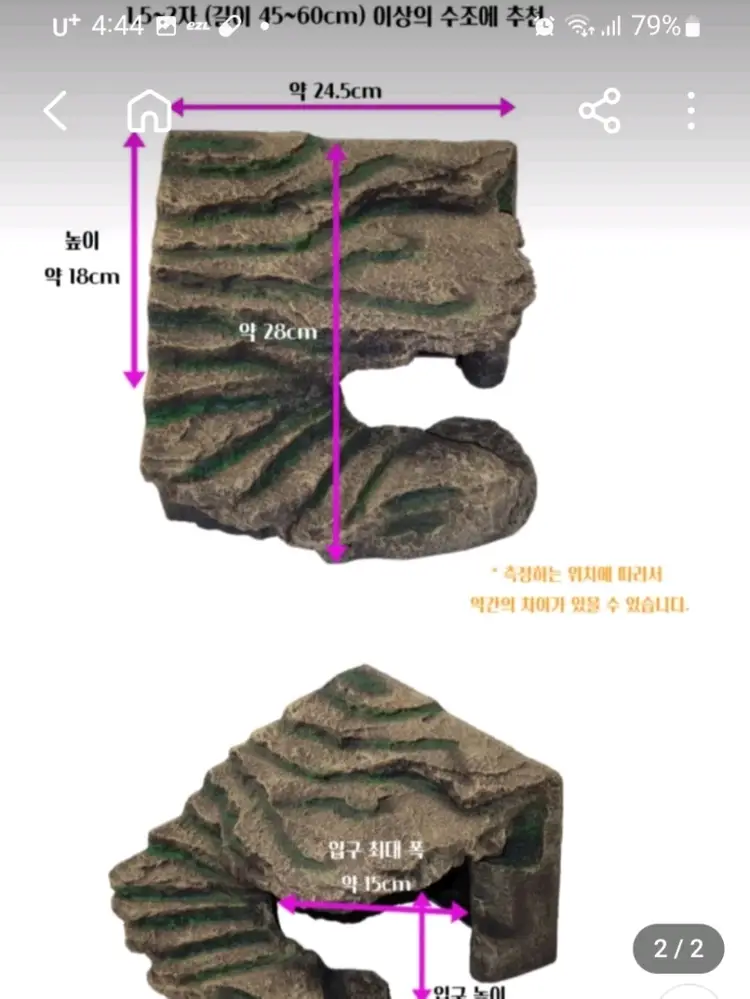 거북이 쉼터 육지 이미지
