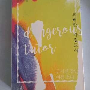 단권 소설책 위험한 가정교사 이미지