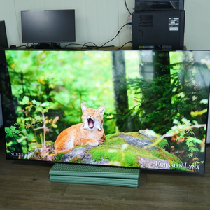 엘지 75인치 QNED TV 벽걸이형 75QNED7SKQA 이미지