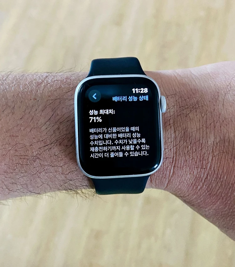 애플워치5 44mm 셀룰러 실버 이미지