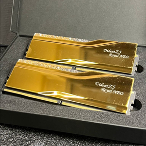 지스킬 로얄골드 DDR5 6400 CL30 32GB 셋 TRIDENT Z5 ROYAL NEO 골드 이미지