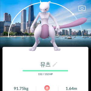 포켓몬고 <시카고>배경 뮤츠,그란돈,가이오가 등 이미지