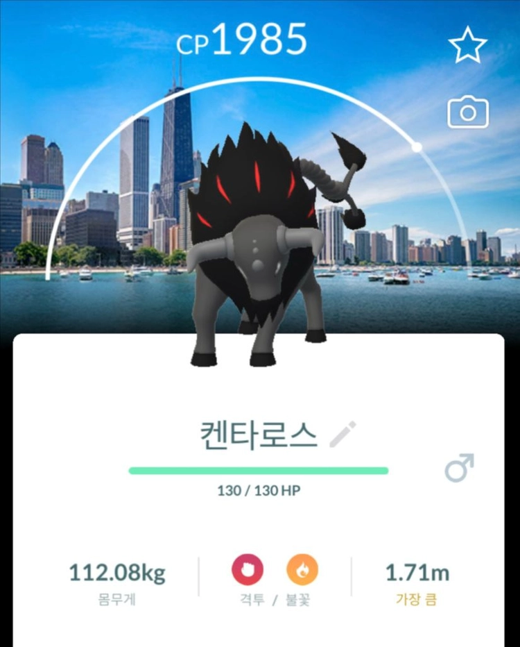 포켓몬고 <시카고>배경 뮤츠,그란돈,가이오가 등 이미지