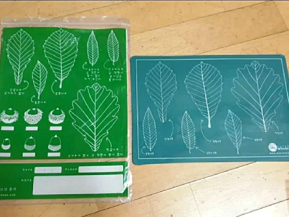 나뭇잎 탁본 뜨기 세트 홀씨 숲체험 교구 망치 고무판 나무판자 어린이 아동 자연체험학습 홈스쿨링 이미지