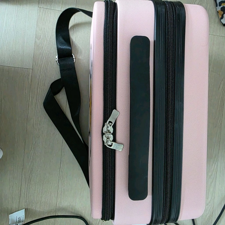 캐리어 레디백 이미지