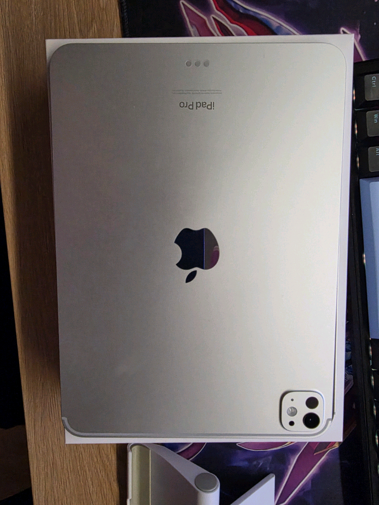 아이패드 프로 M4 11인치 256GB 와이파이 모델 실버 이미지