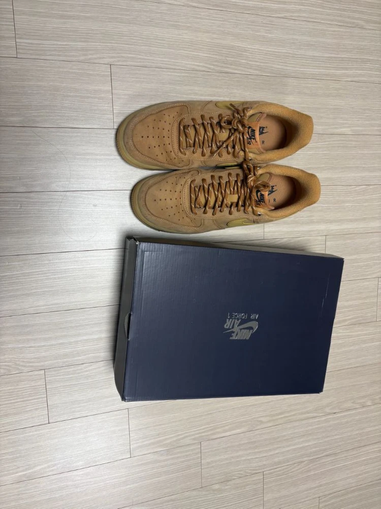 S급 된장포스 이미지