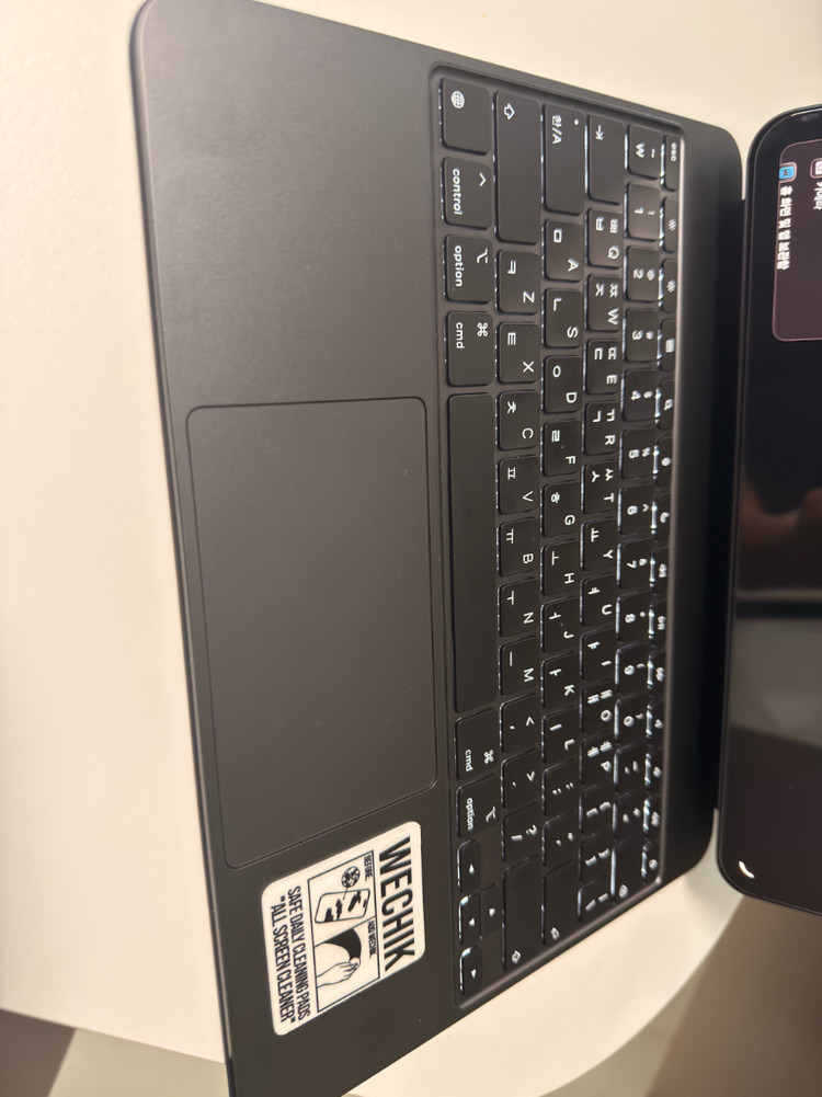 아이패드프로 M5 13 256gb wifi 이미지