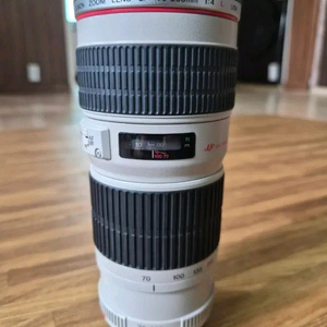 캐논 EF 70-200mm F4 L 애기백통 이미지