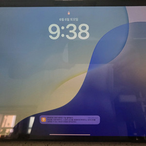 아이패드 프로 13 m4 256g wifi 블랙 신품급 이미지