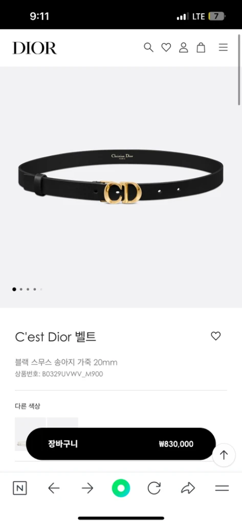 디올 여성 벨트 이미지