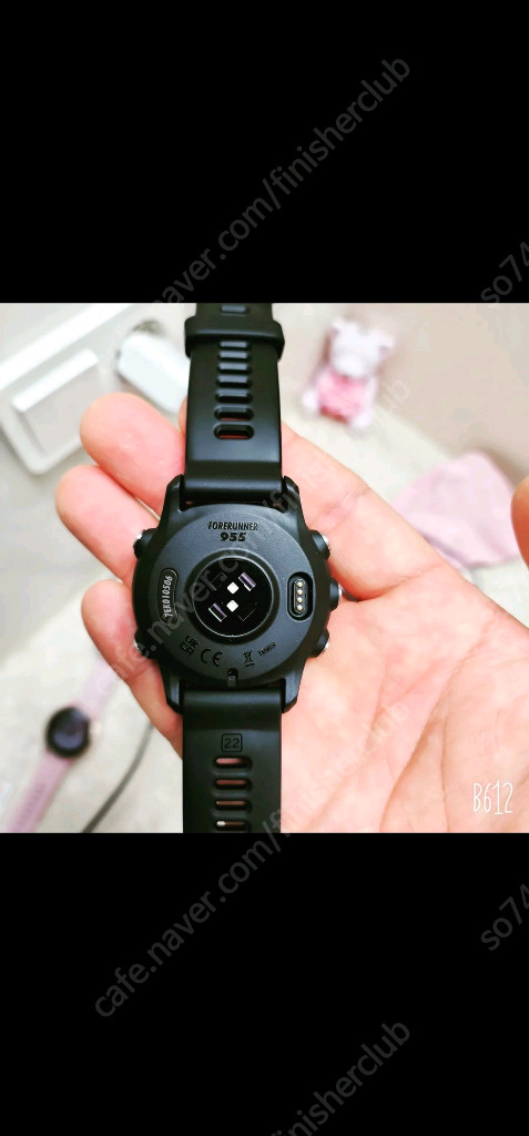 가민 포러너 955 이미지