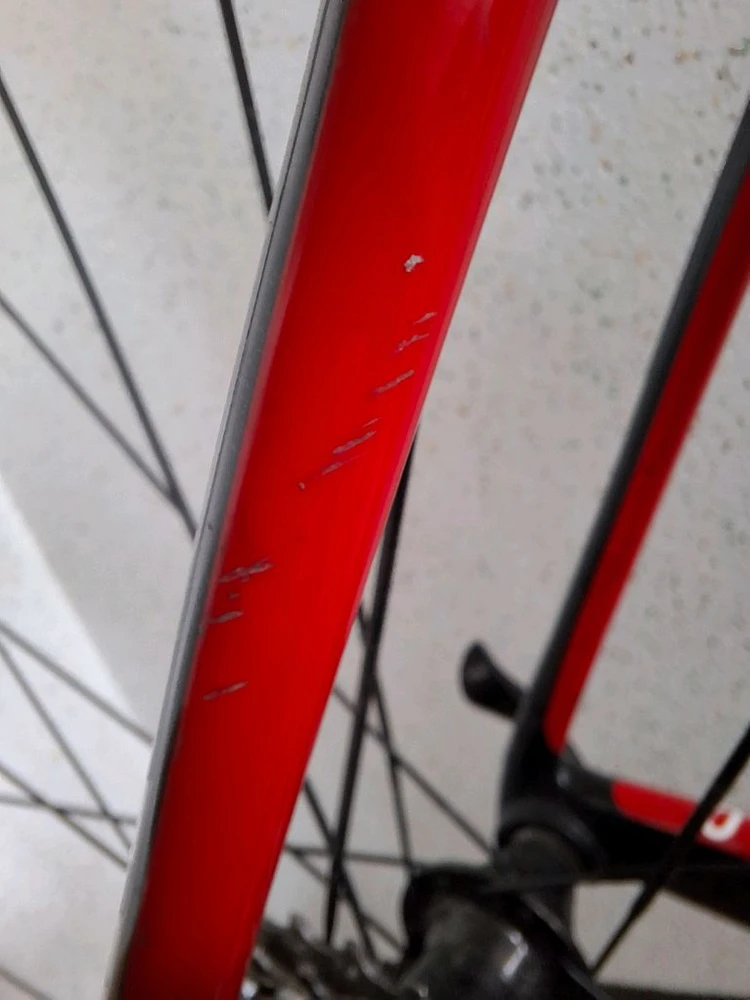trek 트렉 도마니 4.0 카본 로드자전거 이미지