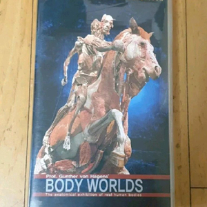 인체의신비 전시 Body Worlds 비디오테이프 이미지