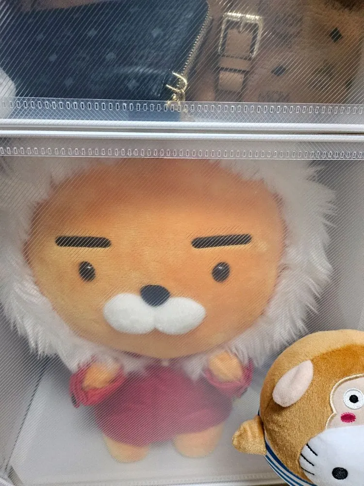 카카오 인형 후드 패딩라이언 카카오프렌즈 윈터라이언 2종세트 #완전새거# 이미지