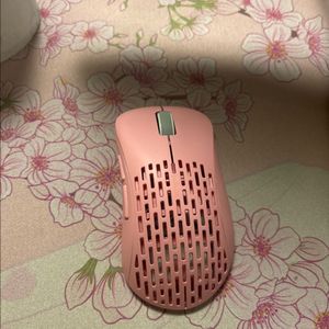 펄사 xlite v2미니 이미지