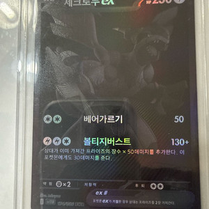 포켓몬카드 제크로무 BWR 이미지