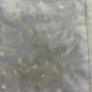 133번 거다이맥스 이브이 띠부씰 이미지