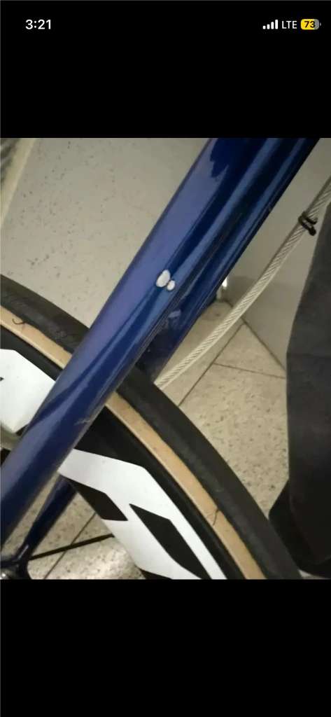 엔진11 크릿디 인디고블루 반차 판매합니다 급처!! 이미지