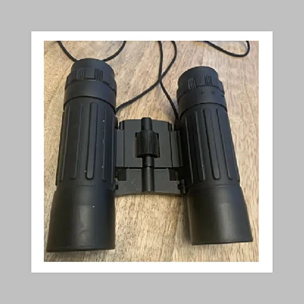 쌍안경 컴팩트 미국 브랜드 TASCO 10x25 어린이 이미지