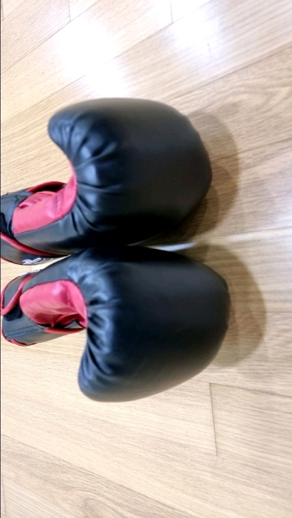 THAIBOXING 복싱 글러브16 팝니다. 이미지