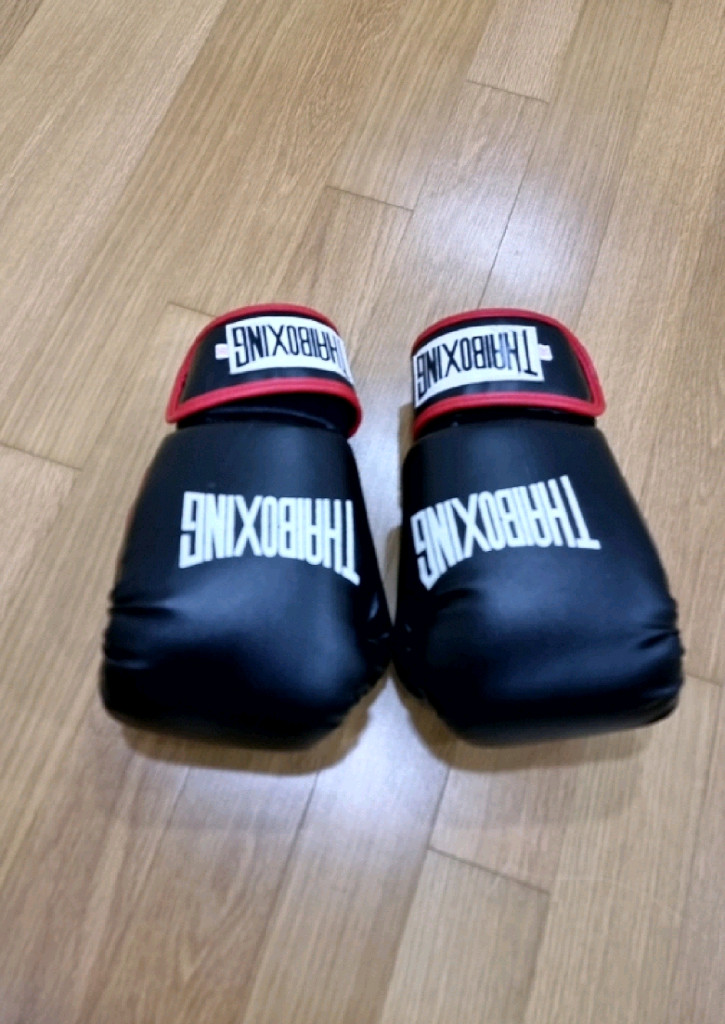 THAIBOXING 복싱 글러브16 팝니다. 이미지