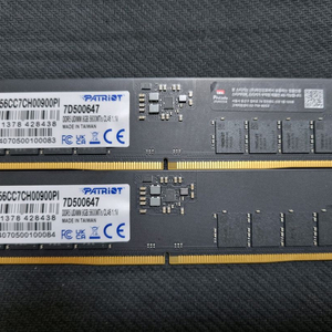 패트리어트 시그니처 DDR5 16GB 8GB 2장 5600MHz 하이닉스 A다이 국내 정품 램 이미지