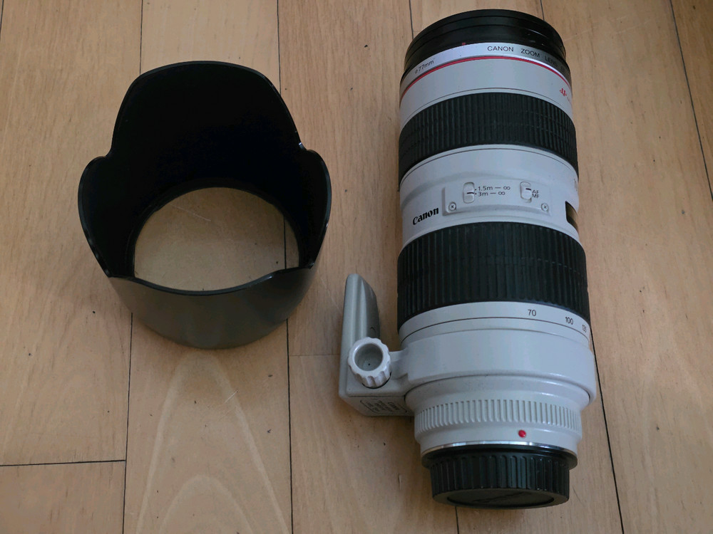 캐논 70-200mm F2.8L USM(엄마 백통) 렌즈 이미지