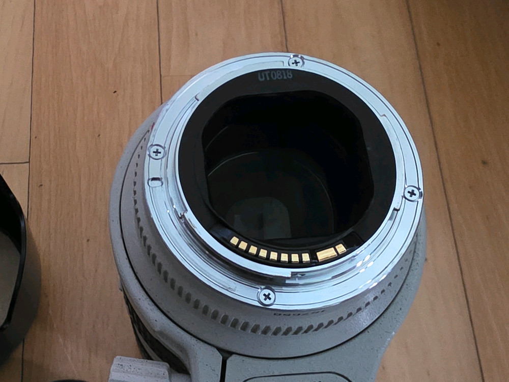 캐논 70-200mm F2.8L USM(엄마 백통) 렌즈 이미지