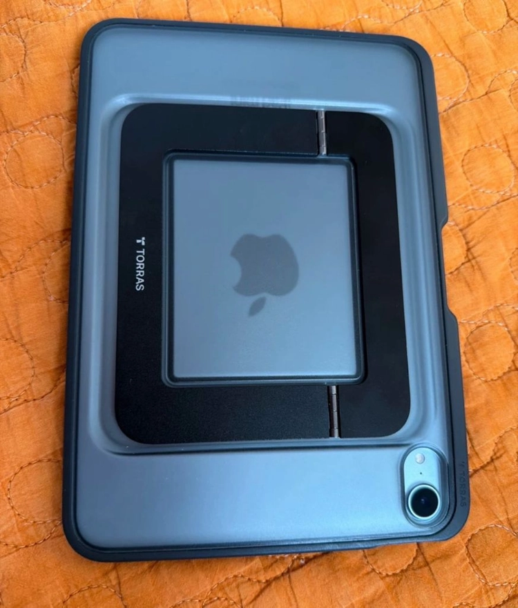Apple 아이패드 미니 7세대 블루 256GB Wi-Fi 이미지