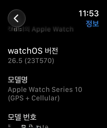 애플워치 10 GPS+셀룰러 46mm 팝니다 이미지