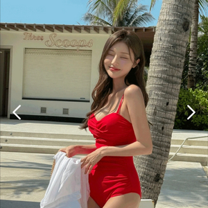 인클로젯 로맨틱 셔링 모노키니 비키니 체형커버 빅사이즈 임산부 수영복 새상품 이미지
