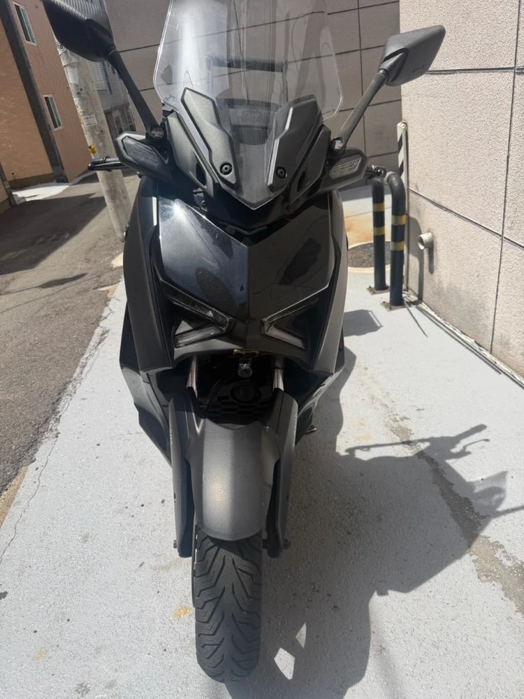 xmax300 묻따 300 이미지