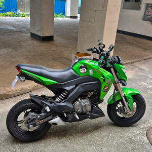 가와사키z 125 PRO 125cc 2016 이미지