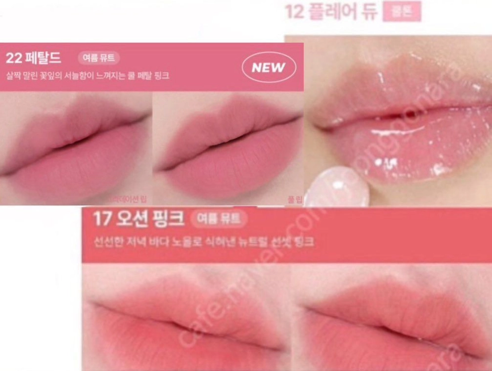 단종)웨이크메이크 듀이젤글레이즈스틱 플레어듀, 워터 블러링 픽싱 틴트 페탈드 - 안심되는 중고거래