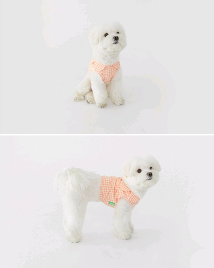 새상품 원오브어스 강아지옷 여름나시 고양이 반려견 크롭티셔츠 2XL 이미지
