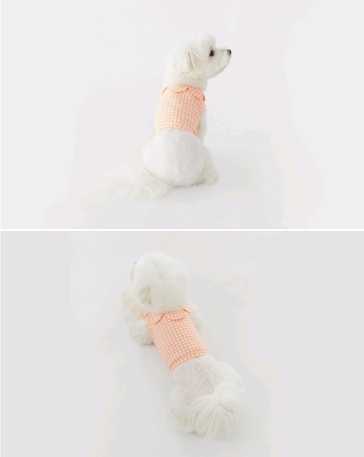 새상품 원오브어스 강아지옷 여름나시 고양이 반려견 크롭티셔츠 2XL 이미지