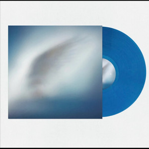 카더가든 blueheart lp 블루하트 이미지
